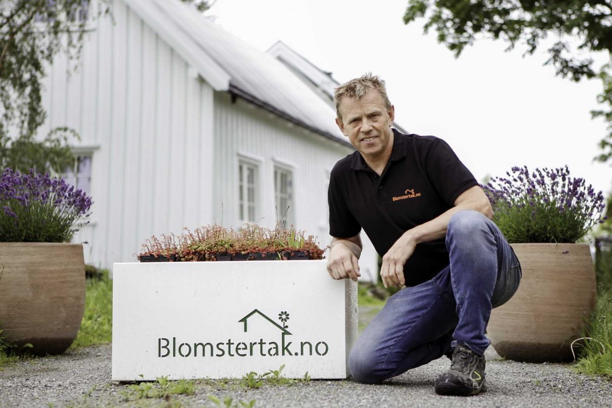 Blomstertak er en viktig aktør i markedet for grønne tak